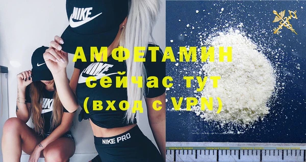 ГАЛЛЮЦИНОГЕННЫЕ ГРИБЫ Михайлов