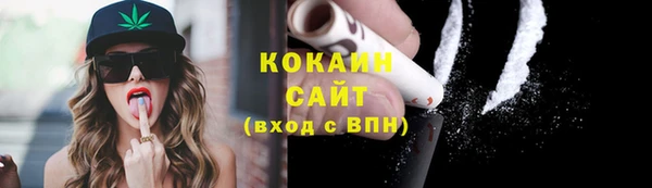 ГАЛЛЮЦИНОГЕННЫЕ ГРИБЫ Медвежьегорск