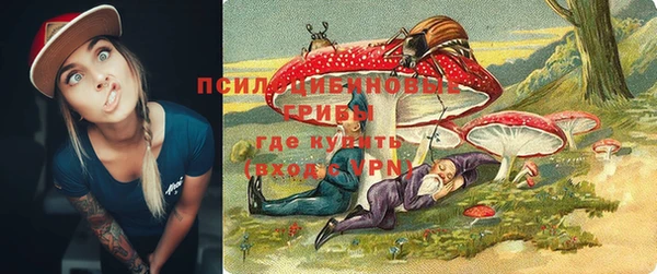 ГАЛЛЮЦИНОГЕННЫЕ ГРИБЫ Мегион