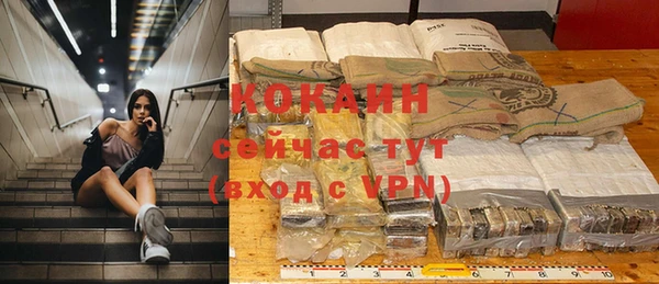 ГАЛЛЮЦИНОГЕННЫЕ ГРИБЫ Михайлов