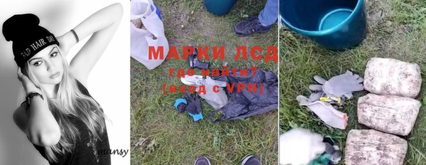 ГАЛЛЮЦИНОГЕННЫЕ ГРИБЫ Михайлов