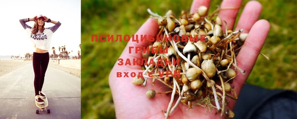 ГАЛЛЮЦИНОГЕННЫЕ ГРИБЫ Медвежьегорск