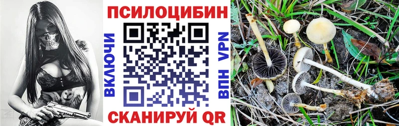 Купить закладки  Владивосток  Галлюциногенные грибы Psilocybe 